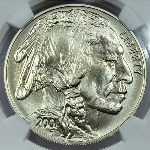 2001 BUFFALO (2)