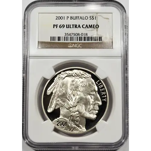2001 BUFFALO ULTRA CAMEO (2)