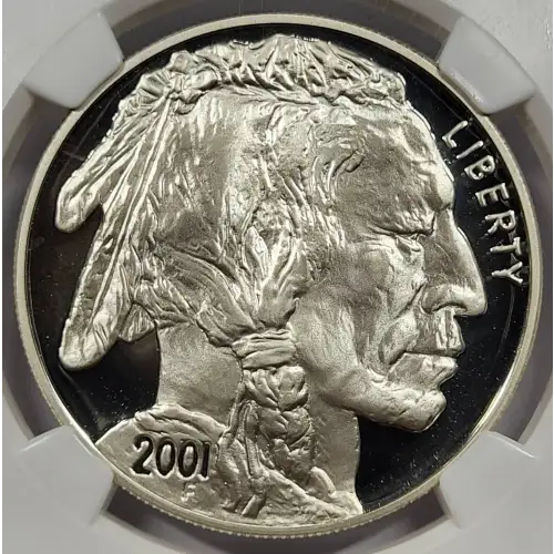 2001 BUFFALO ULTRA CAMEO