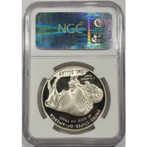 2001 BUFFALO ULTRA CAMEO (4)