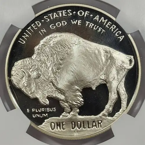 2001 BUFFALO ULTRA CAMEO (3)