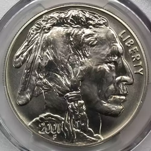 2001-D $1 Buffalo (5)