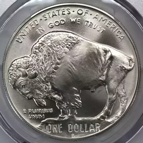 2001-D $1 Buffalo (4)