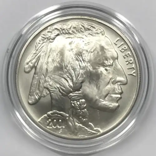 2001-D American Buffalo Uncirculated Silver Dollar - Coin Only