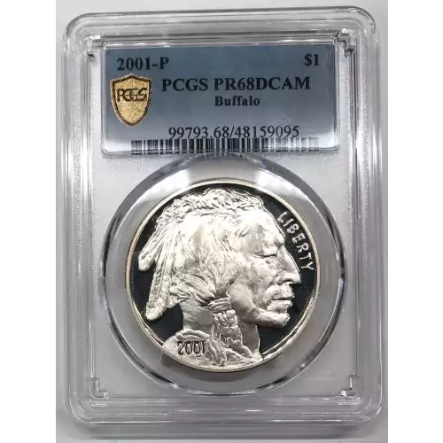 2001-P $1 Buffalo, DCAM (3)