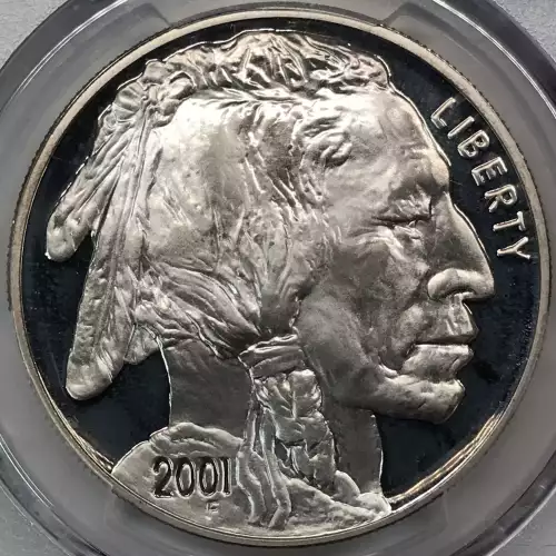 2001-P $1 Buffalo, DCAM (5)