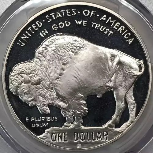 2001-P $1 Buffalo, DCAM (4)