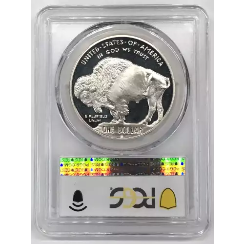 2001-P $1 Buffalo, DCAM (2)