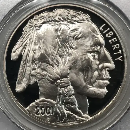 2001-P $1 Buffalo, DCAM (3)