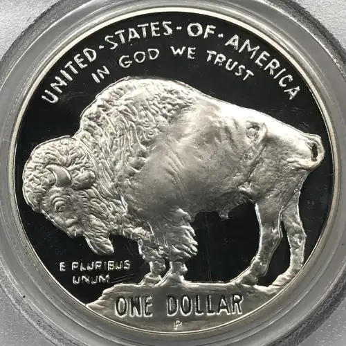 2001-P $1 Buffalo, DCAM (2)