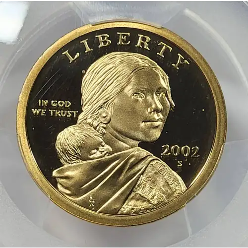 2002-S SAC$1, DCAM