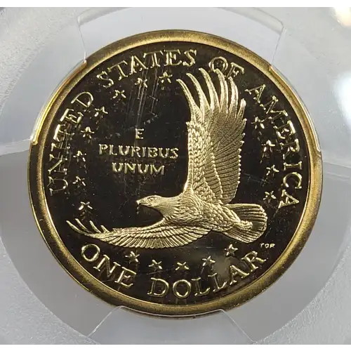 2002-S SAC$1, DCAM (3)