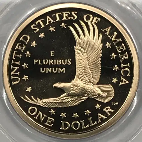2006-S SAC$1, DCAM