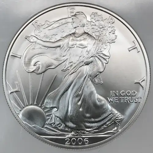 2006 W 20TH ANNIVERSARY SET BURNISHED SILVER EAGLE OFFICIAL US MINT SET (2)