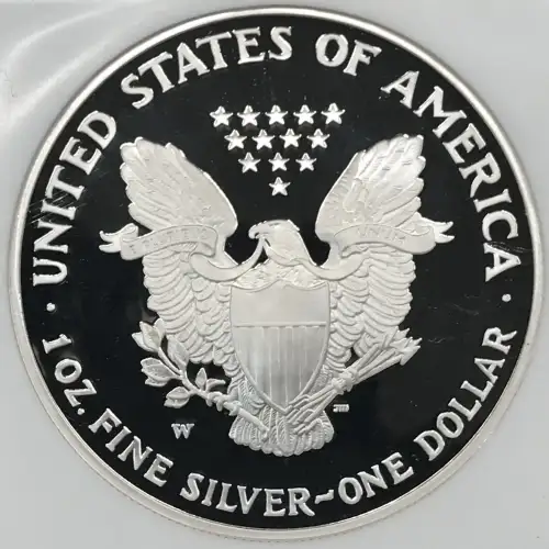 2006 W  ULTRA CAMEO (2)