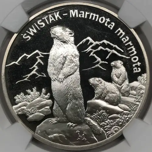 2006MW ALPINE MARMOT ANIMALS OF THE WORLD ULTRA CAMEO (3)