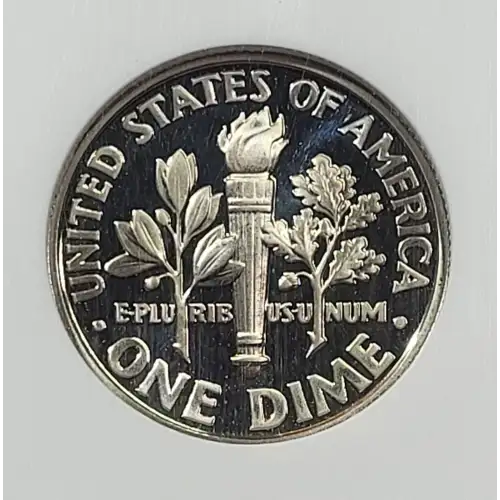 2007 S  ULTRA CAMEO (2)