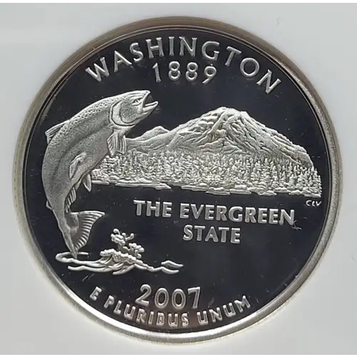2007 S WASHINGTON ULTRA CAMEO (2)