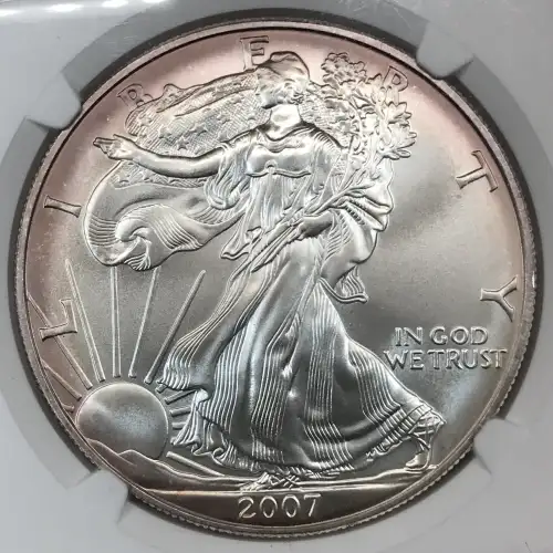 2007 W BURNISHED SILVER EAGLE (3)