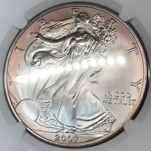 2007 W BURNISHED SILVER EAGLE (2)