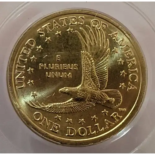2008-D SAC$1 (3)