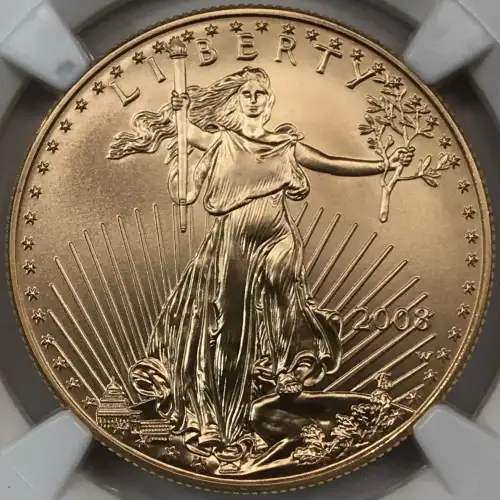 2008 W BURNISHED GOLD EAGLE (5)