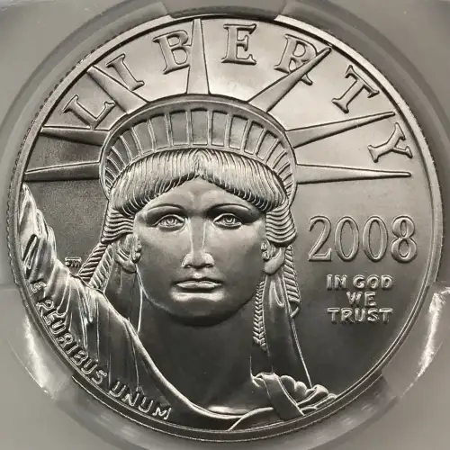 2008-W Burnished Platinum Eagle P$100 (4)