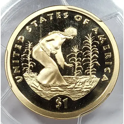 2009-S $1 Native American, DCAM (2)
