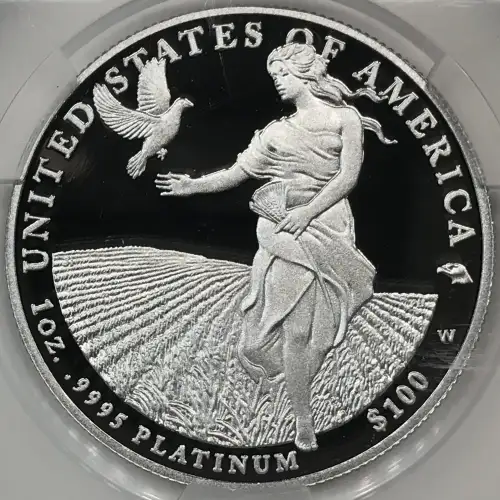 2011-W Platinum Eagle P$100 DCAM (Proof) (5)
