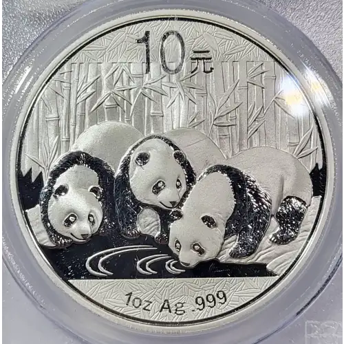 2013 10 Yn Panda Silver First Strike (3)