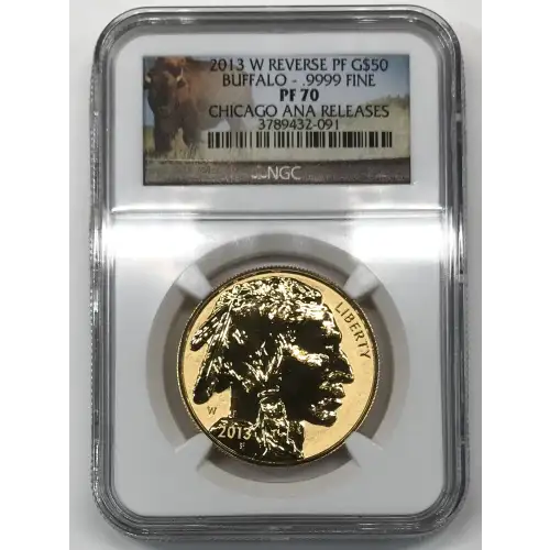 2013 BUFFALO - .9999 FINE CHICAGO ANA RELEASES (2)