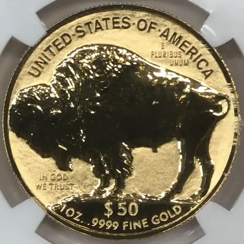 2013 BUFFALO - .9999 FINE CHICAGO ANA RELEASES
