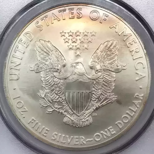 2013-(S) $1 Silver Eagle Struck at San Francisco First Strike (3)