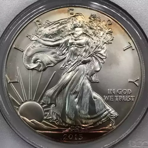 2013-W $1 Burnished Silver Eagle First Strike (3)