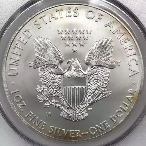 2013-W $1 Burnished Silver Eagle First Strike