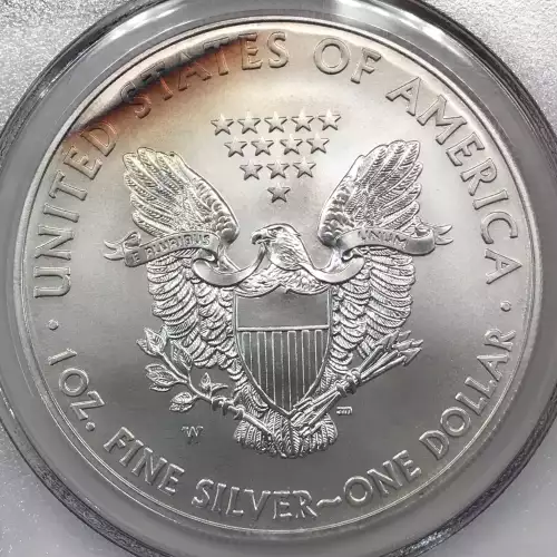 2013-W $1 Burnished Silver Eagle First Strike