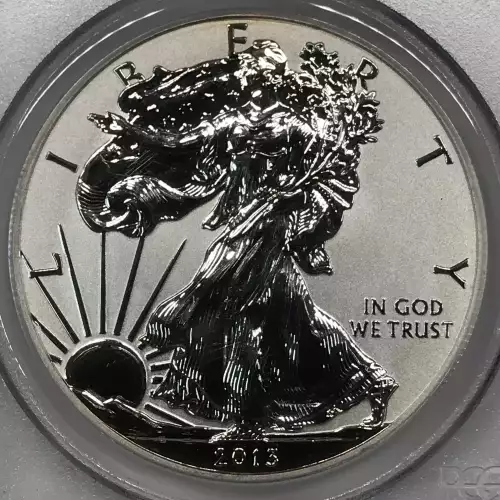 2013-W $1 Reverse Proof West Point Mint Set First Strike (3)