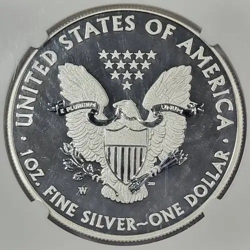 2013 W WEST POINT EAGLE SET EARLY RELEASES OFFICIAL US MINT SET ENHANCED FINISH (2)