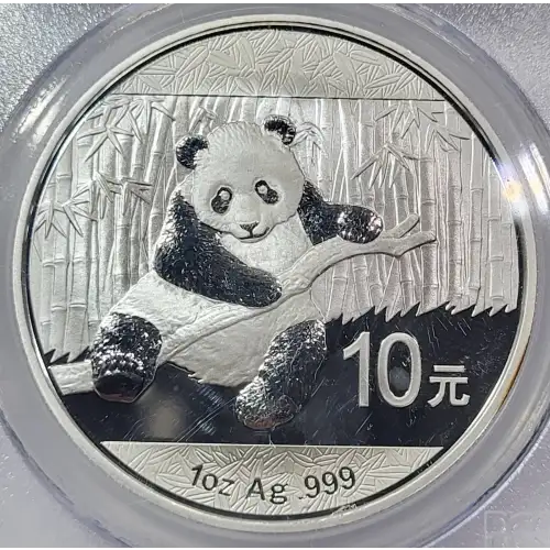 2014 10 Yn Panda Silver First Strike (3)