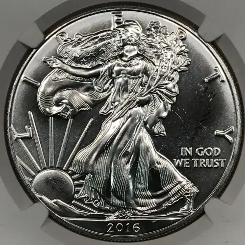 2016 (6)