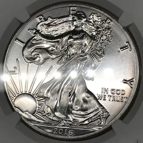 2016 (7)