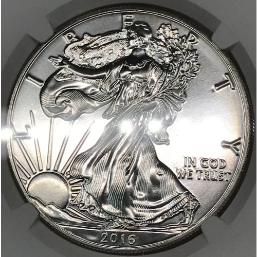 2016 (5)