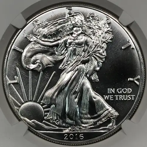2016 (4)