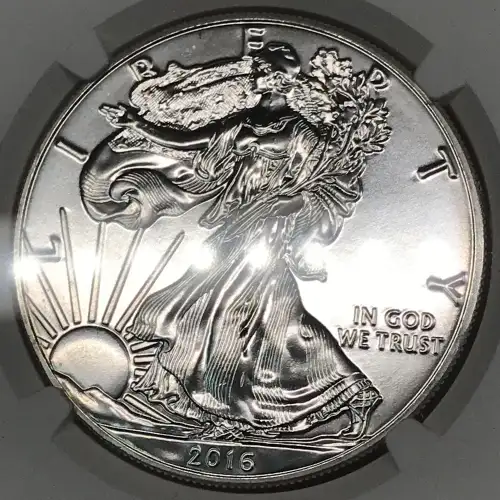 2016 (5)