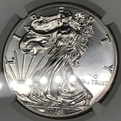2016 (5)