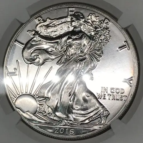 2016 (5)