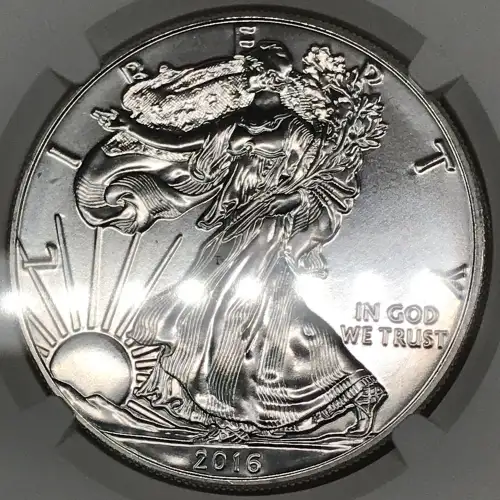 2016 (5)