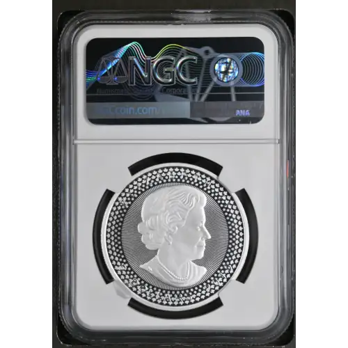 2019 Maple Leaf - U.S. Set Early Releases Pride of Two Nations Set