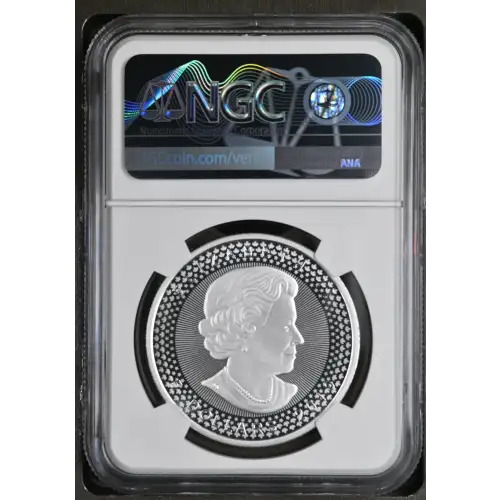2019 Maple Leaf - U.S. Set Early Releases Pride of Two Nations Set (3)