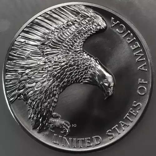 2019 P 2.5oz .999 Fine American Liberty Series  (3)